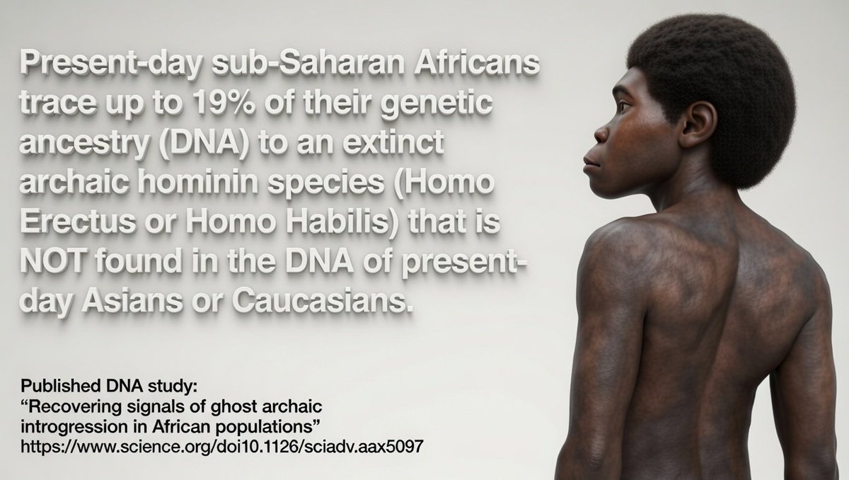 Flash_Gordon tweet media