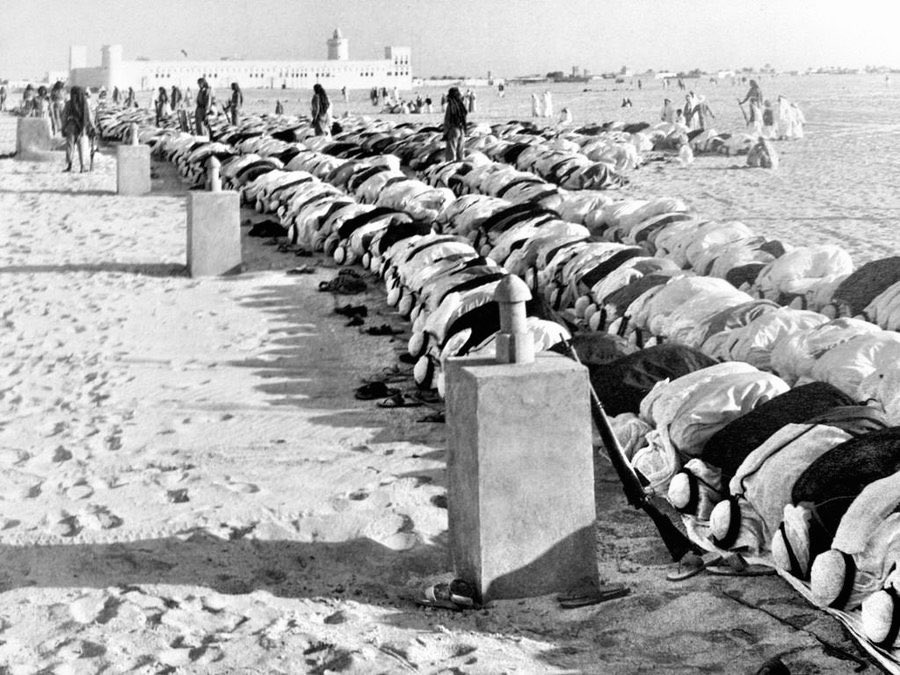 حمد المرر tweet media