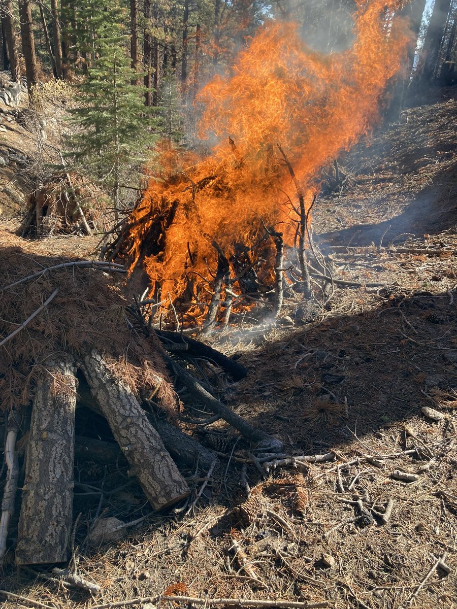 Truckee Meadows Fire & Rescue tweet media