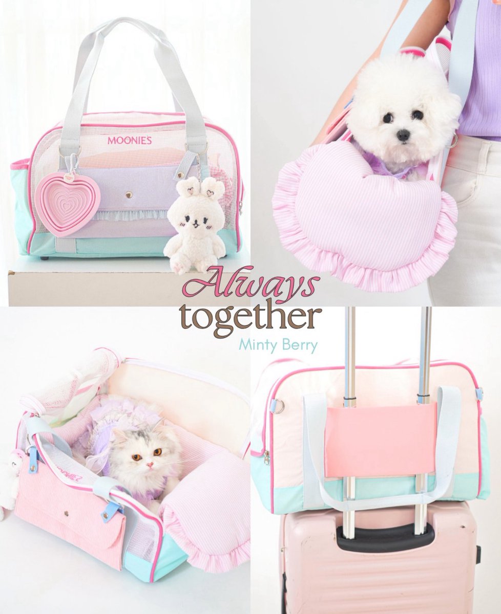 กรี๊ดดลั่นบ้านอีกครั้ง!! ลิซ่าใช้กระเป๋าหมาจากแบรนด์เล็กๆของเรา ที่เราออกแบบเอง ใส่น้อง lolaบ้าไปแล้ววววววเดินอยู่ที่ปารีส ฝันที่ไม่ใช่ฝัน ตกใจจนมือสั่นนนน แงงงงง😭🩷🩷🩷😭 #lisa #blackpink