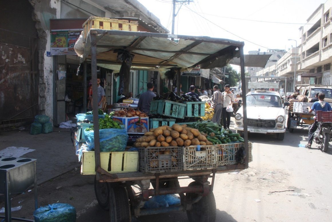 Gisha גישה مسلك tweet media