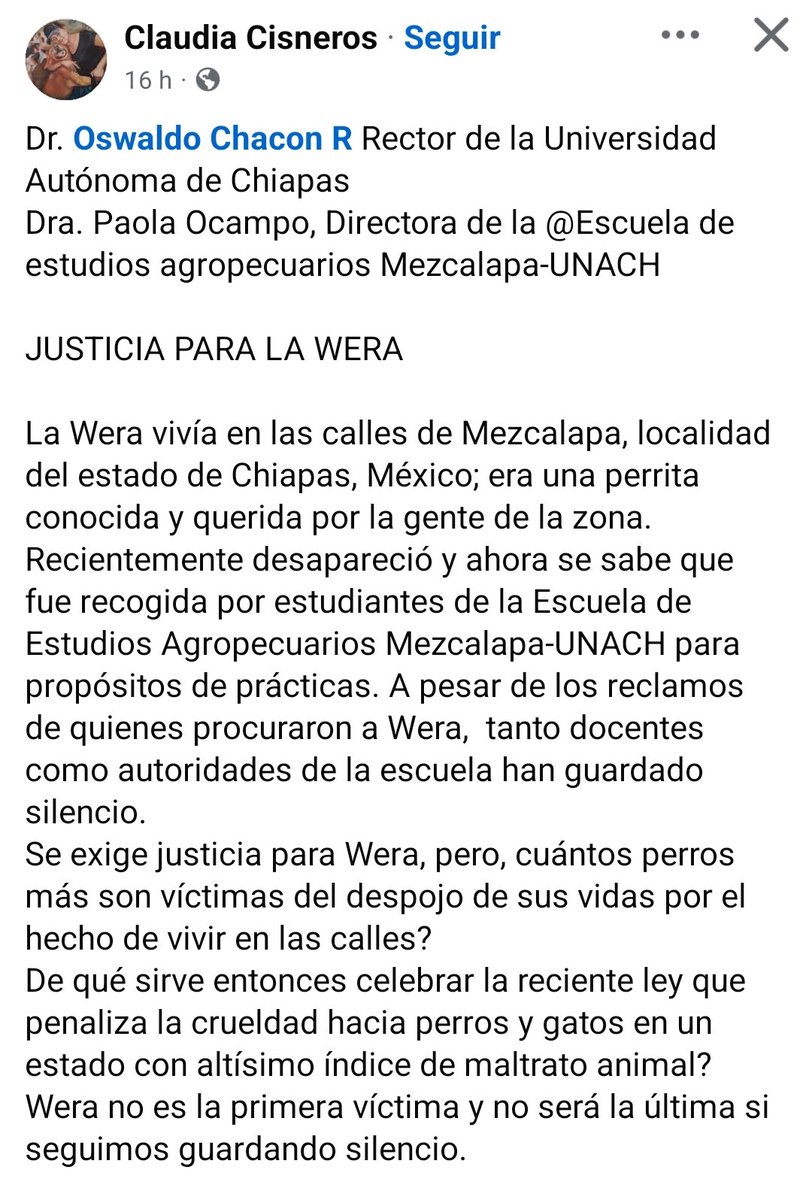 Abogado Animalista tweet media