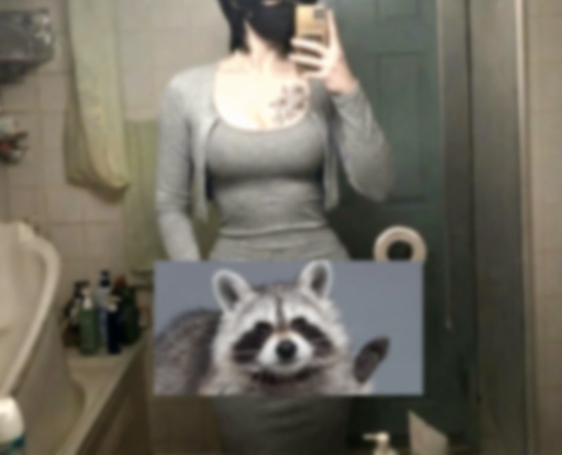 정어박 tweet media