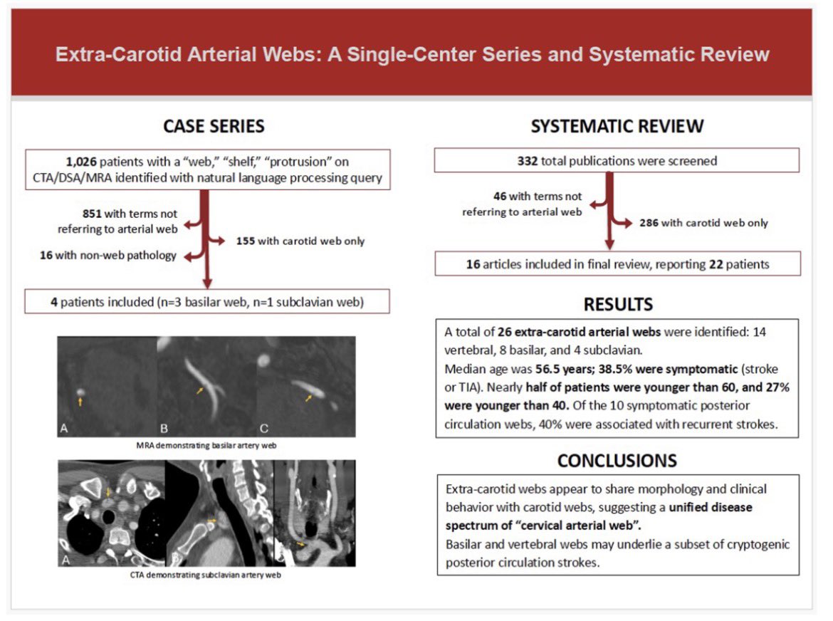 Michela Rosso tweet media