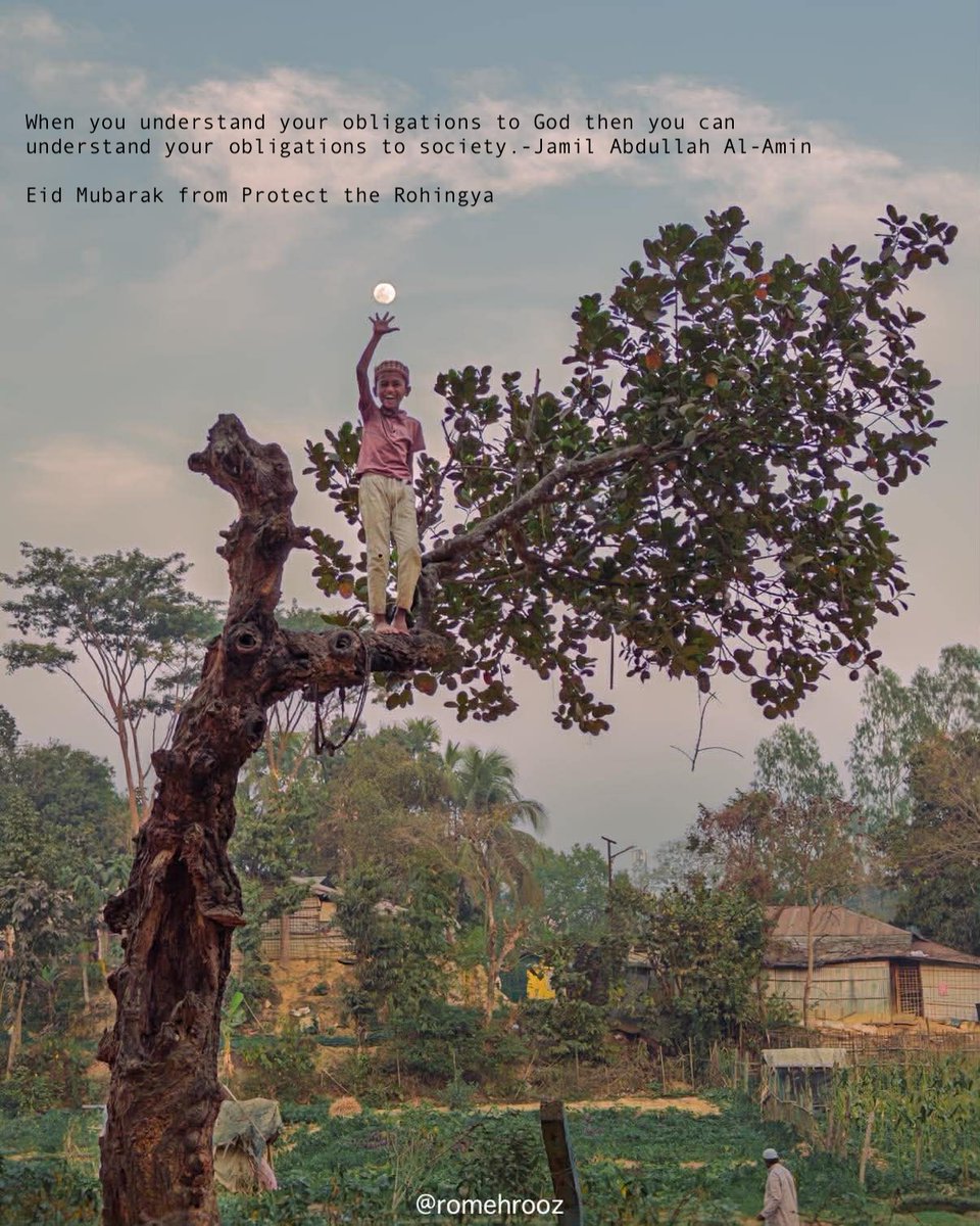 Protect The Rohingya tweet media