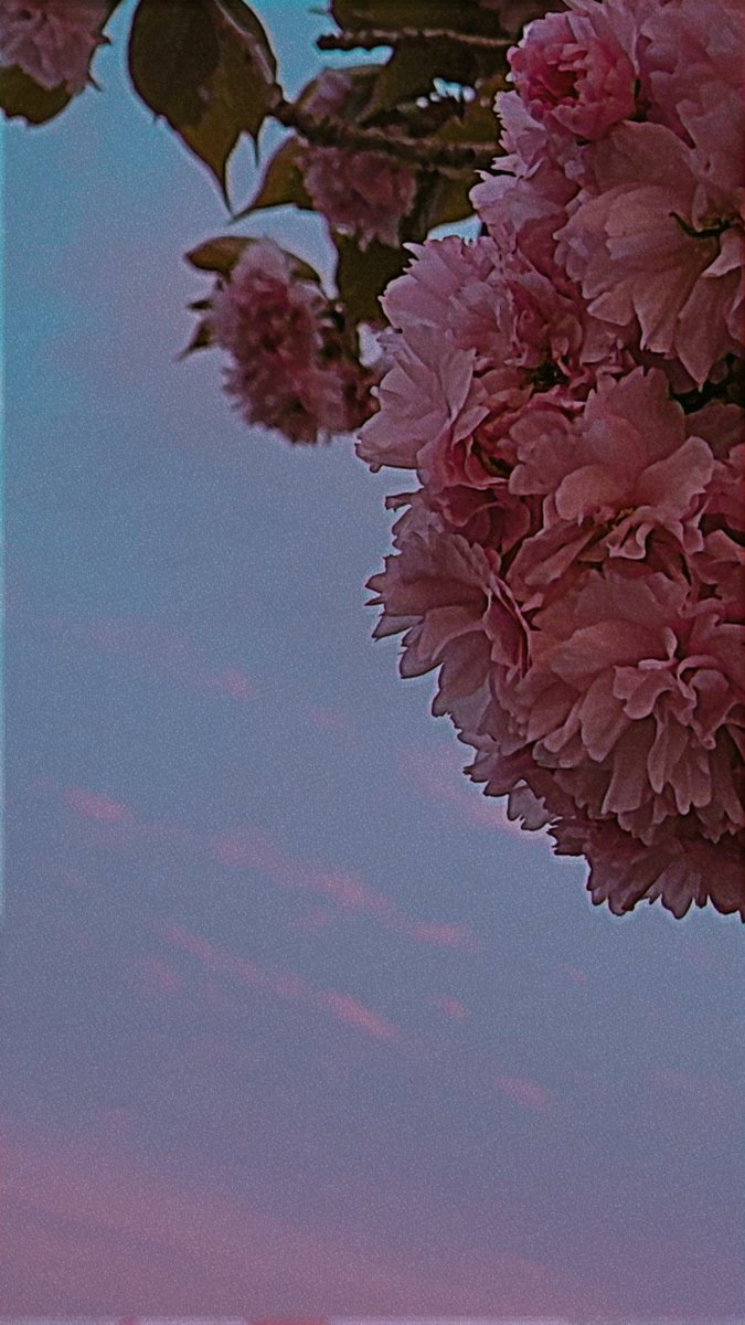 RWMusic1's tweet photo. No set times, no set dates. There is no particular genre or style. While nothing major. Over the next day or so, marks the first release of what's to come. However, for now. I welcome #Spring with open arms... https://t.co/cP99OVZAnW