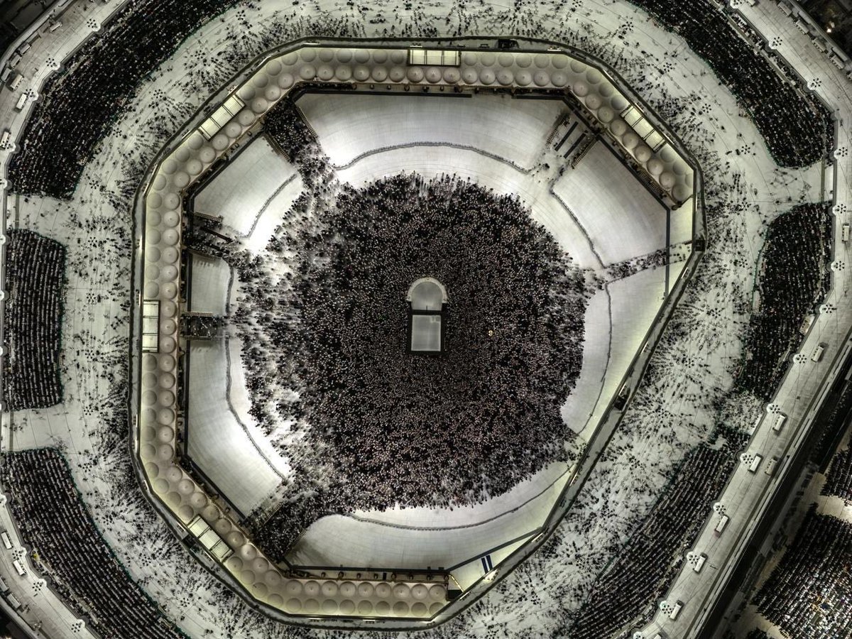 أخبار السعودية tweet media