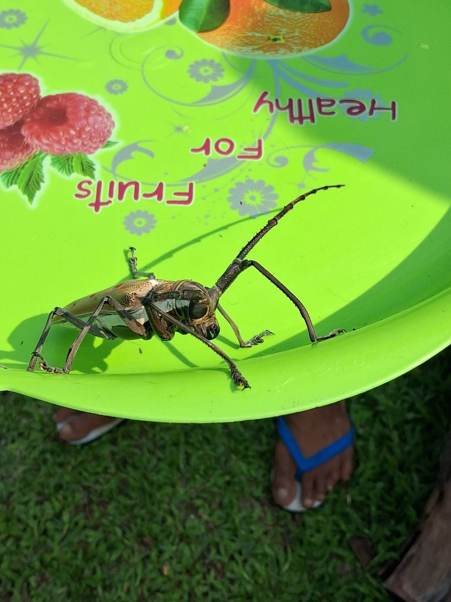 FIFI728657.bsky.social tweet media