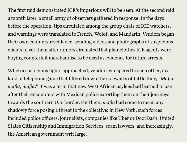 Liv Veazey tweet media