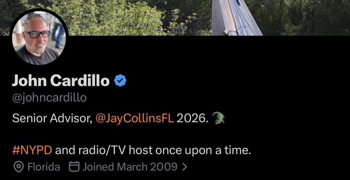 Amygator 🐊 *not an actual alligator tweet media