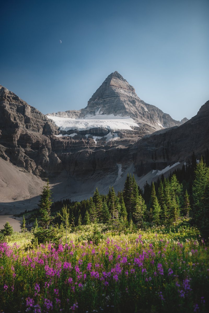 Alex Mack tweet media