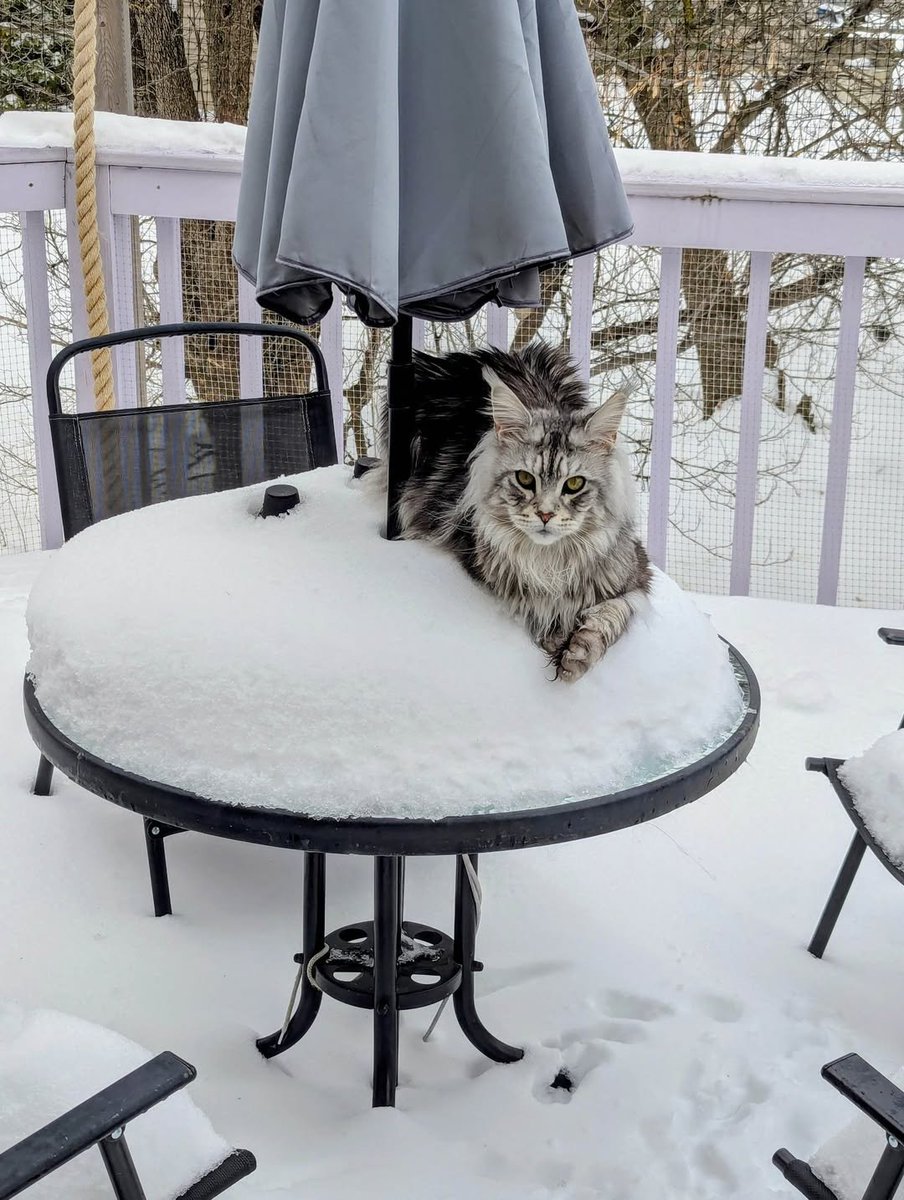 andrewthecoder tweet media