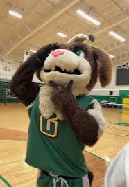 Josh Ong tweet media