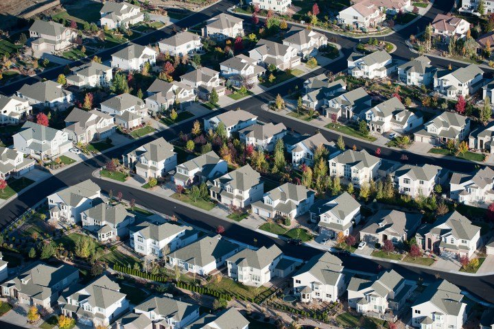 Space Koala tweet media