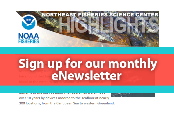 NOAAFish_NEFSC tweet media