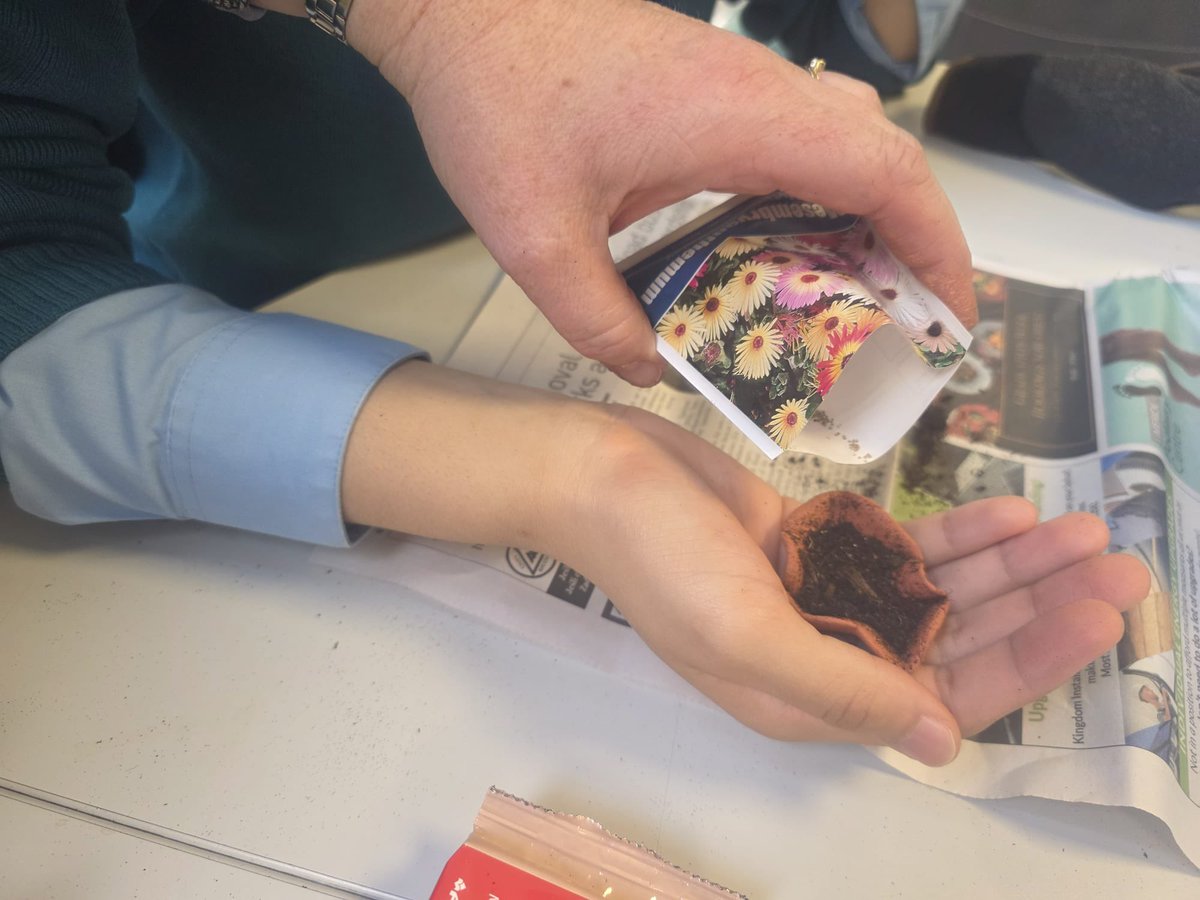 Castletroy College tweet media