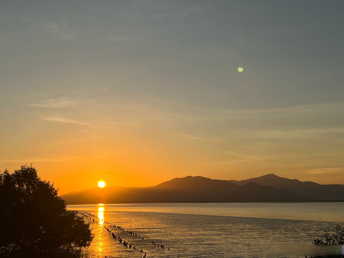 Grace Bonono tweet media