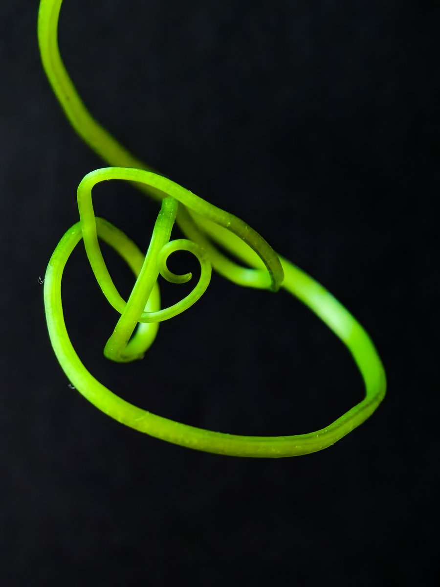 Madison Paulson tweet media