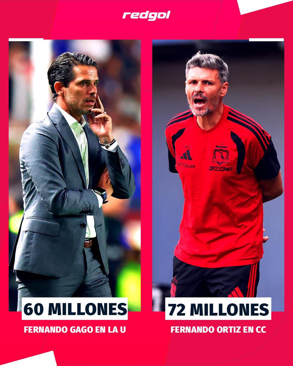 PatoCasiDeLa🅱️ tweet media