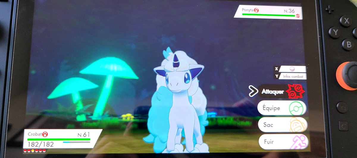 Alpha 〇 (RESERVATIONS CLOSED) tweet media