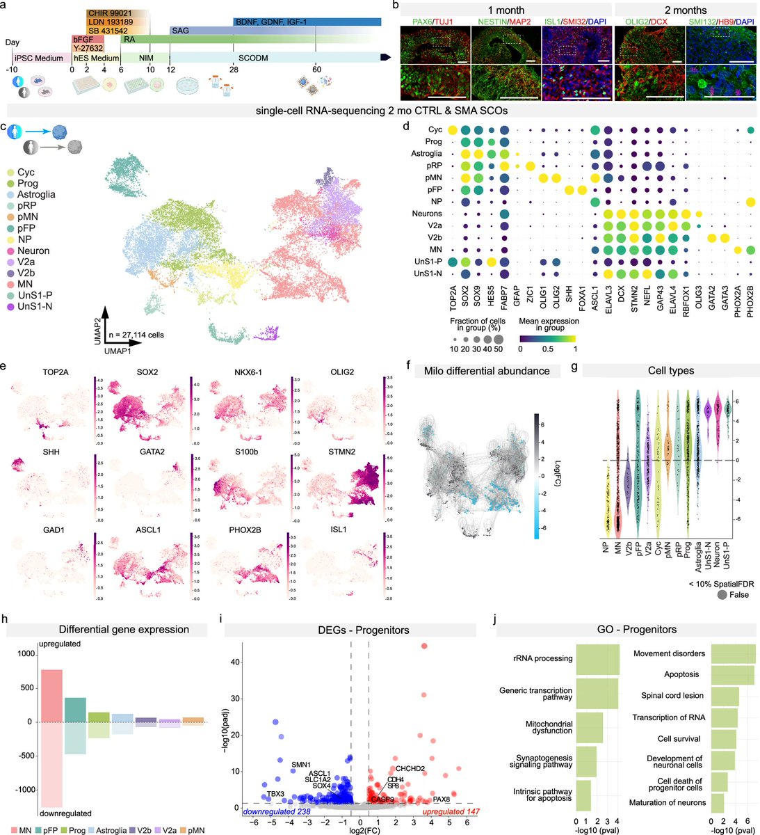 Science Advancement and Outreach tweet media
