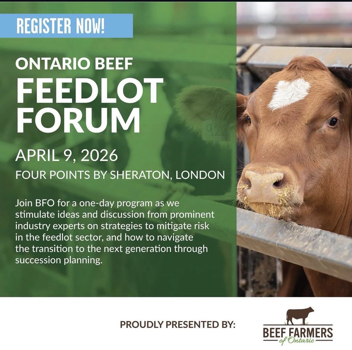 OntarioCornFedBeef tweet media