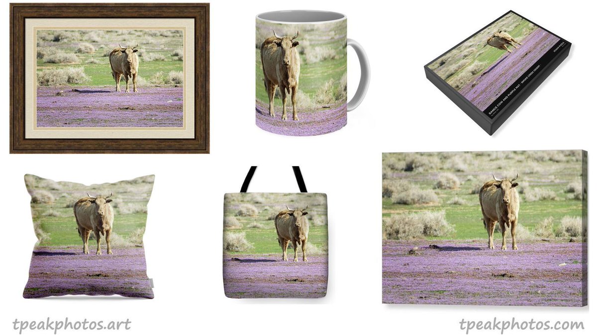 Mike Lee tweet media