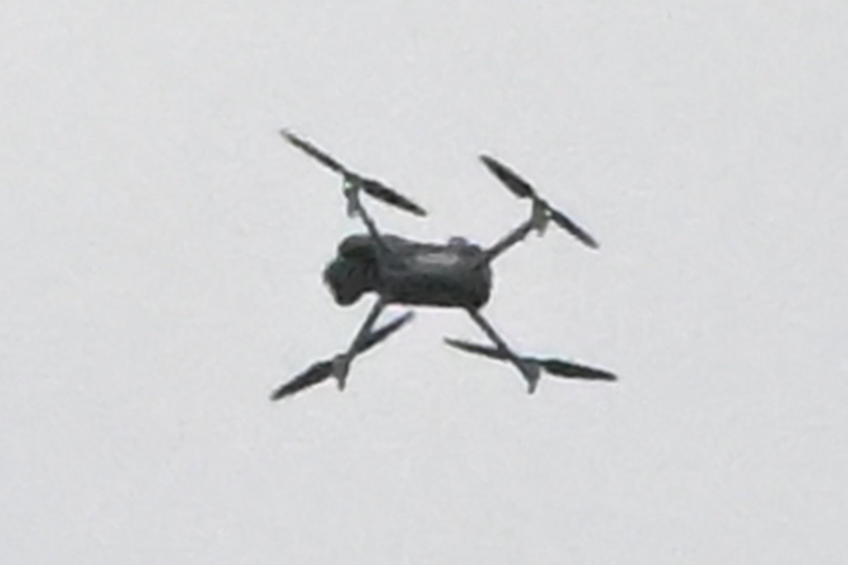 Ben Anderson - Photographer tweet media