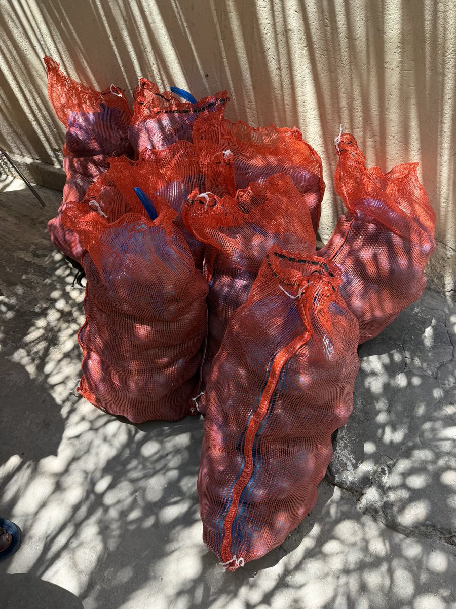 Mamadou Diakhaté tweet media