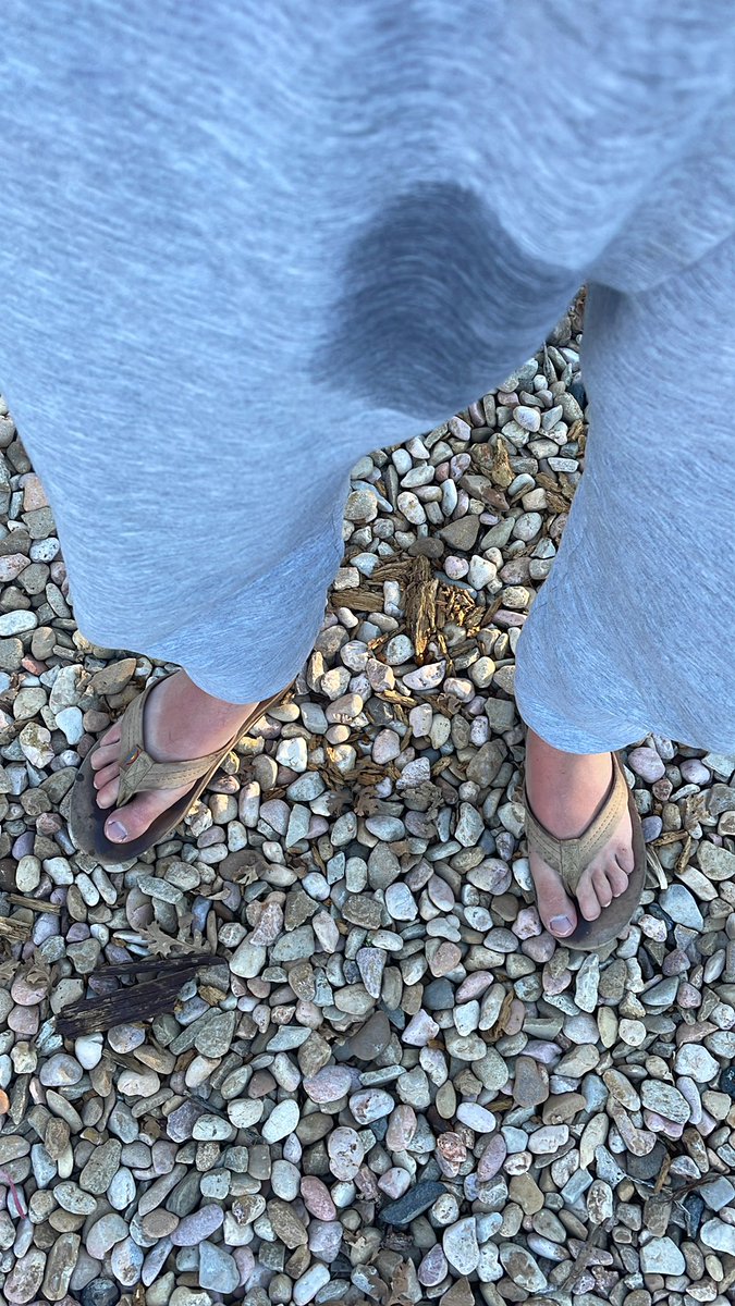 Boxbugga 2 tweet media