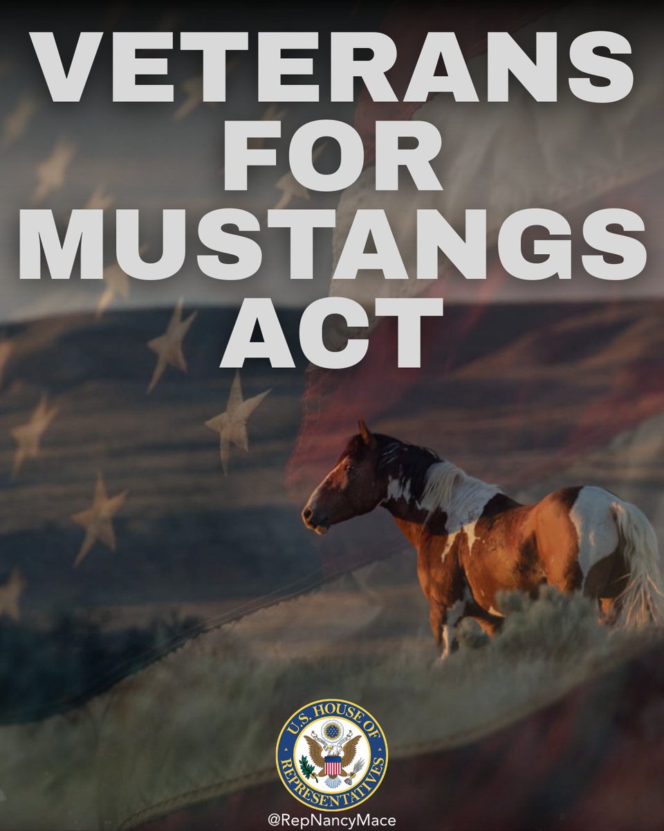 Rep. Nancy Mace tweet media