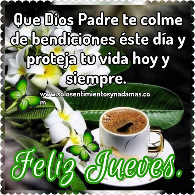 🥋🥇 tweet media