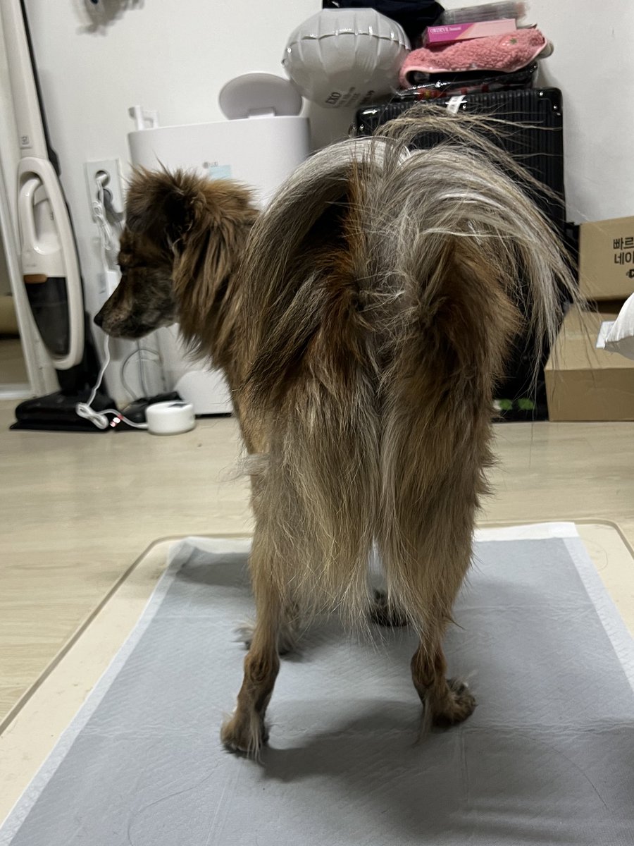 𝕂𝕀ℕ𝕌 tweet media