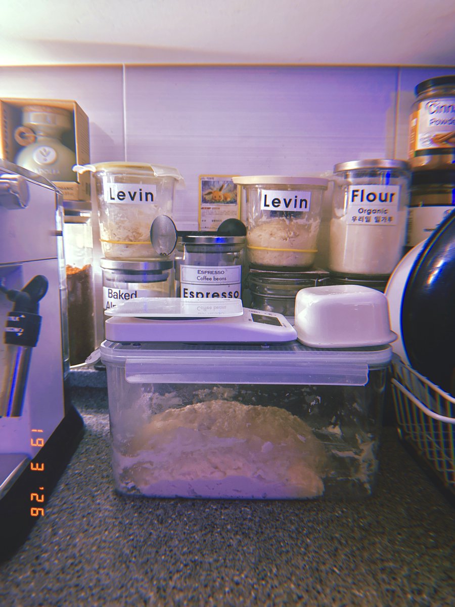 DrewVanilla_'s tweet image. 번개로 이른 저녁 &amp;lt;얼큰 샤브샤브 칼국수+밥볶&amp;gt; 했지만 보이들 위한 &amp;lt;Beef Ragù Rigatoni&amp;gt; 만들어 나도 또 같이 먹었다. 오늘 도착한 처음 써보는 거대한 식칼!🔪 깃털처럼 가볍게 잘린 채소들. 장비빨 좋긔나.. 저녁 요리 전 르방이 밥 줬는데 밥 먹고 나니 두 배 가량 자람.🌱 #Dark3 #R19Mar2026