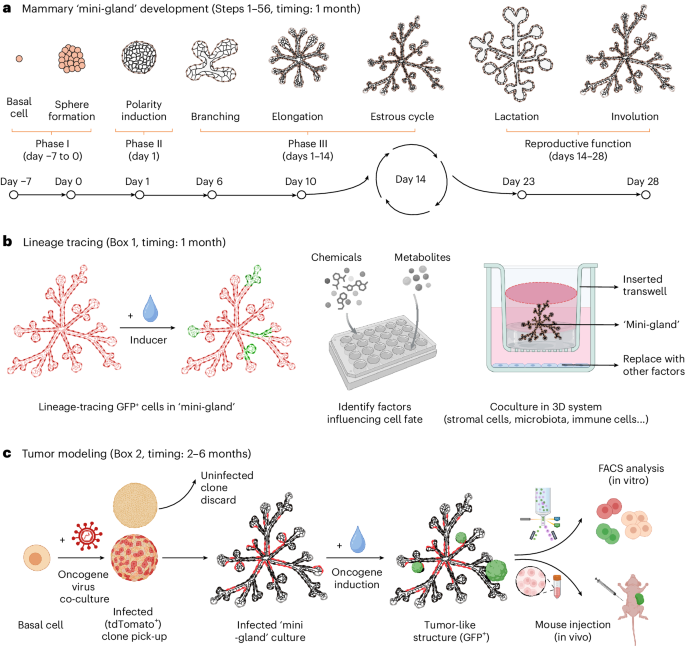 Nature Protocols tweet media