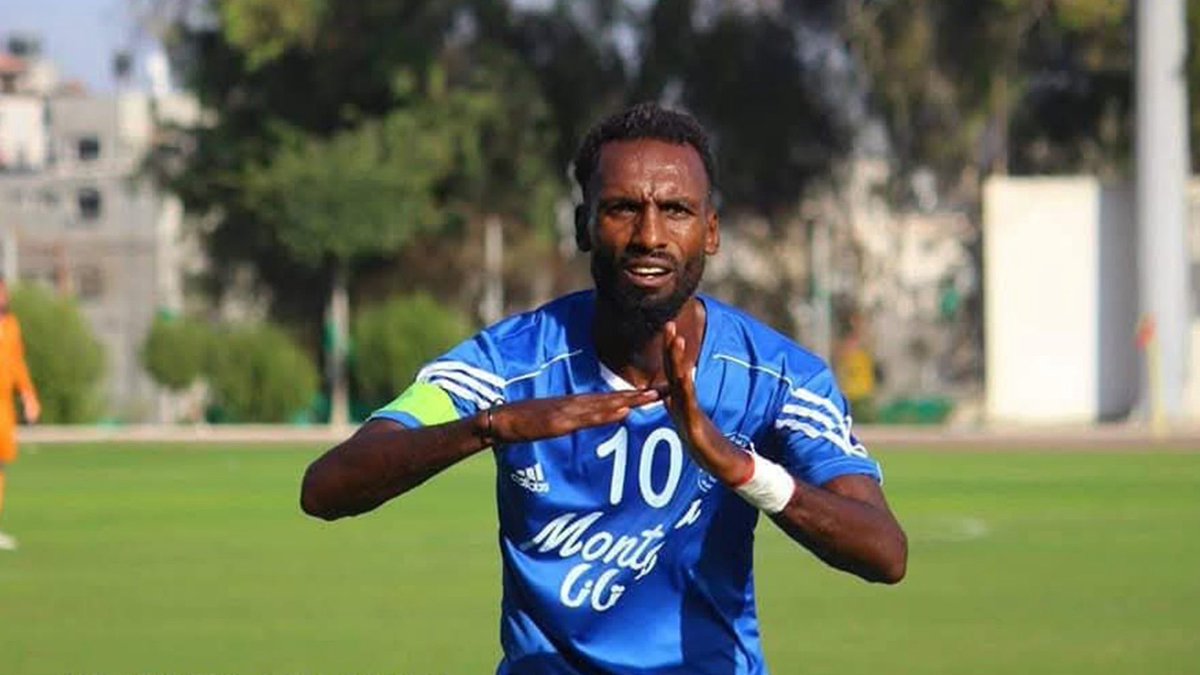 Leyla Hamed tweet media