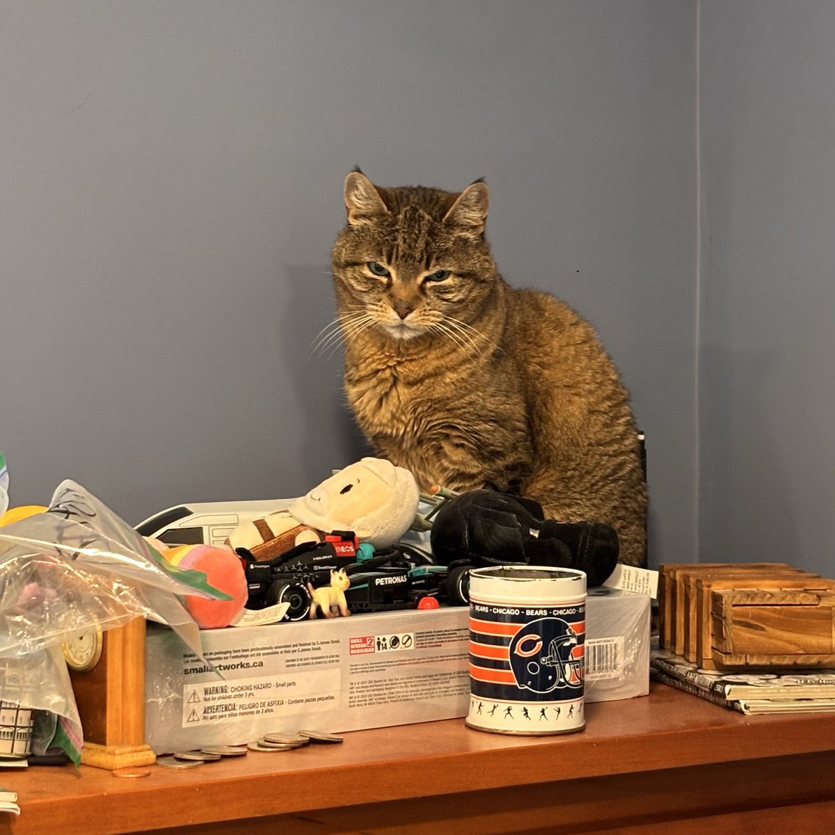 moppy :o) tweet media