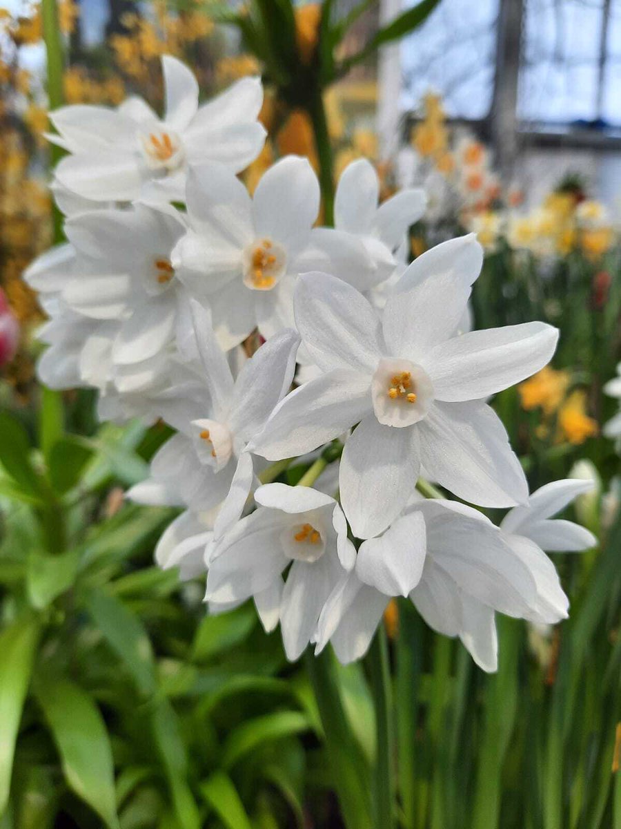 John Geering tweet media