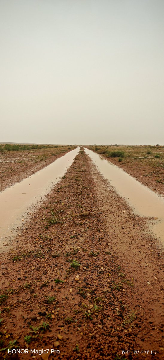 ريحة المطر والعشب 🥰🌹