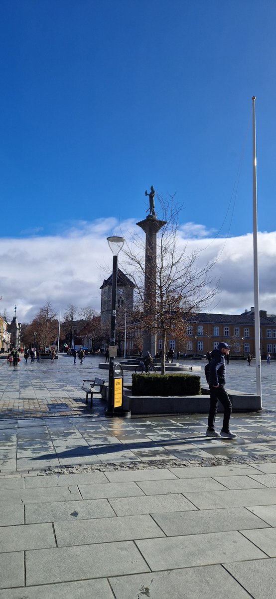 Mari-Ann Hoeggen tweet media