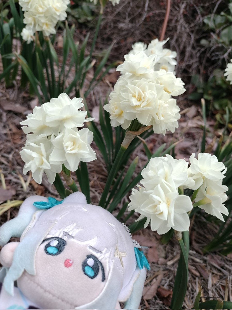 cobatts ||🧚♀️🍂|| tweet media