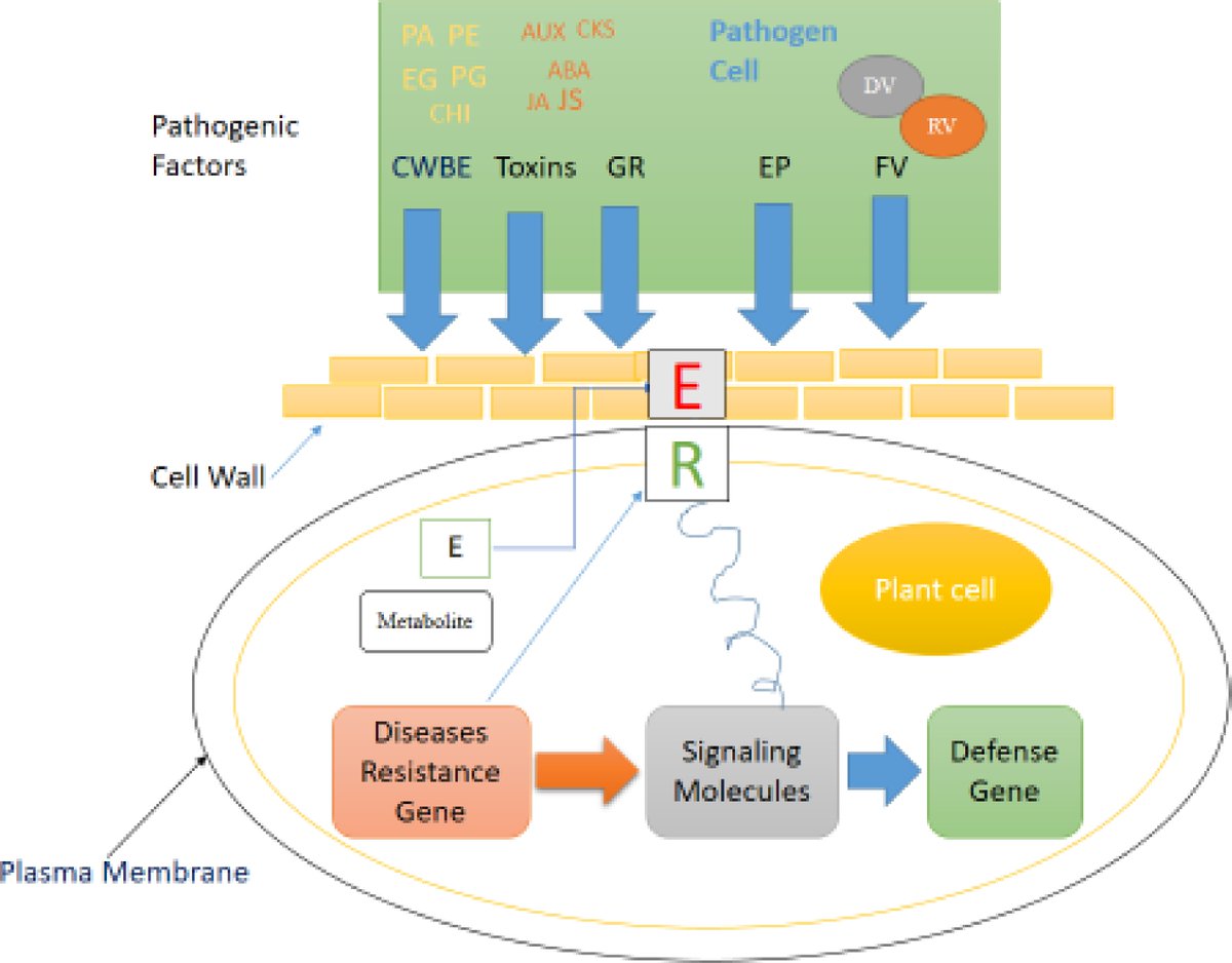 Maximum Academic tweet media