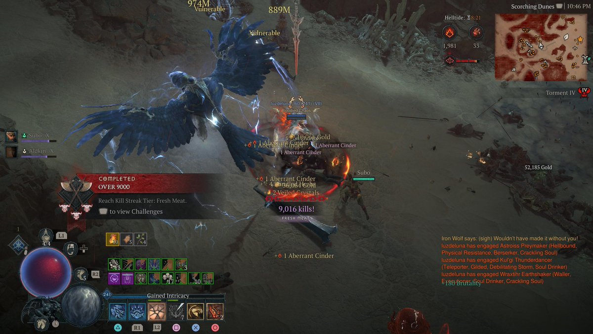 sandpit turtle tweet media