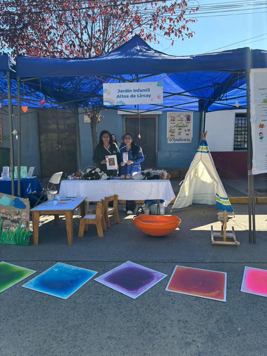 JUNJI Maule tweet media