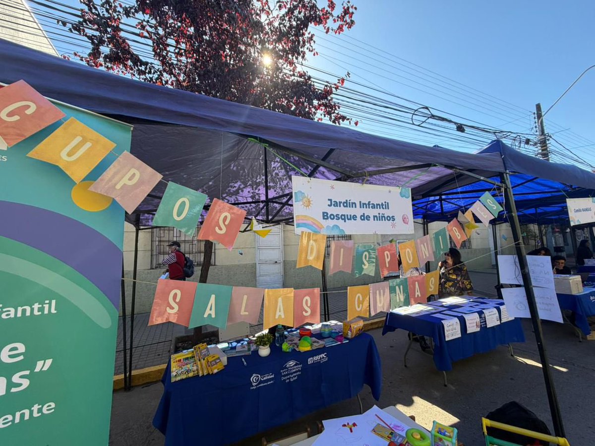 JUNJI Maule tweet media