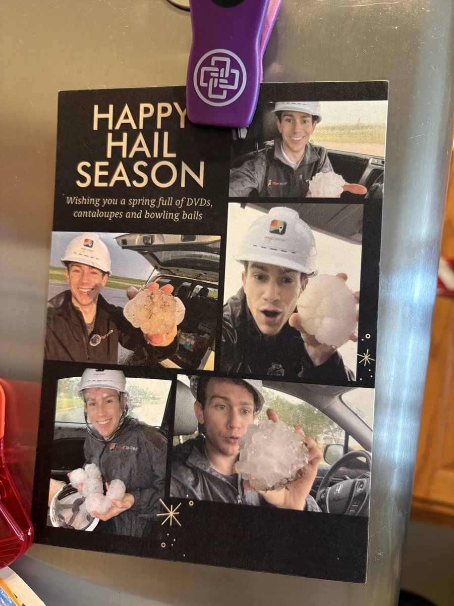 Aylin Carter tweet media