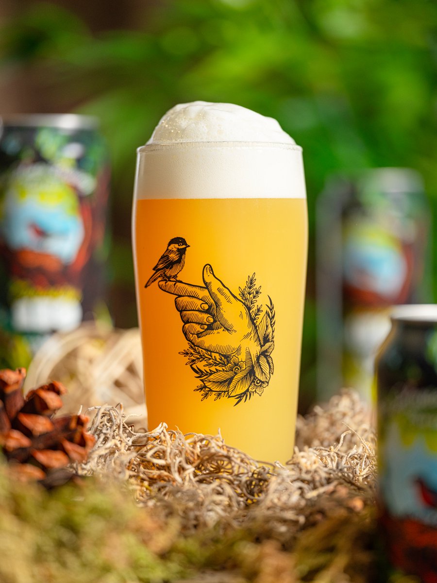 Tree House Brewing Co.🍺 tweet media