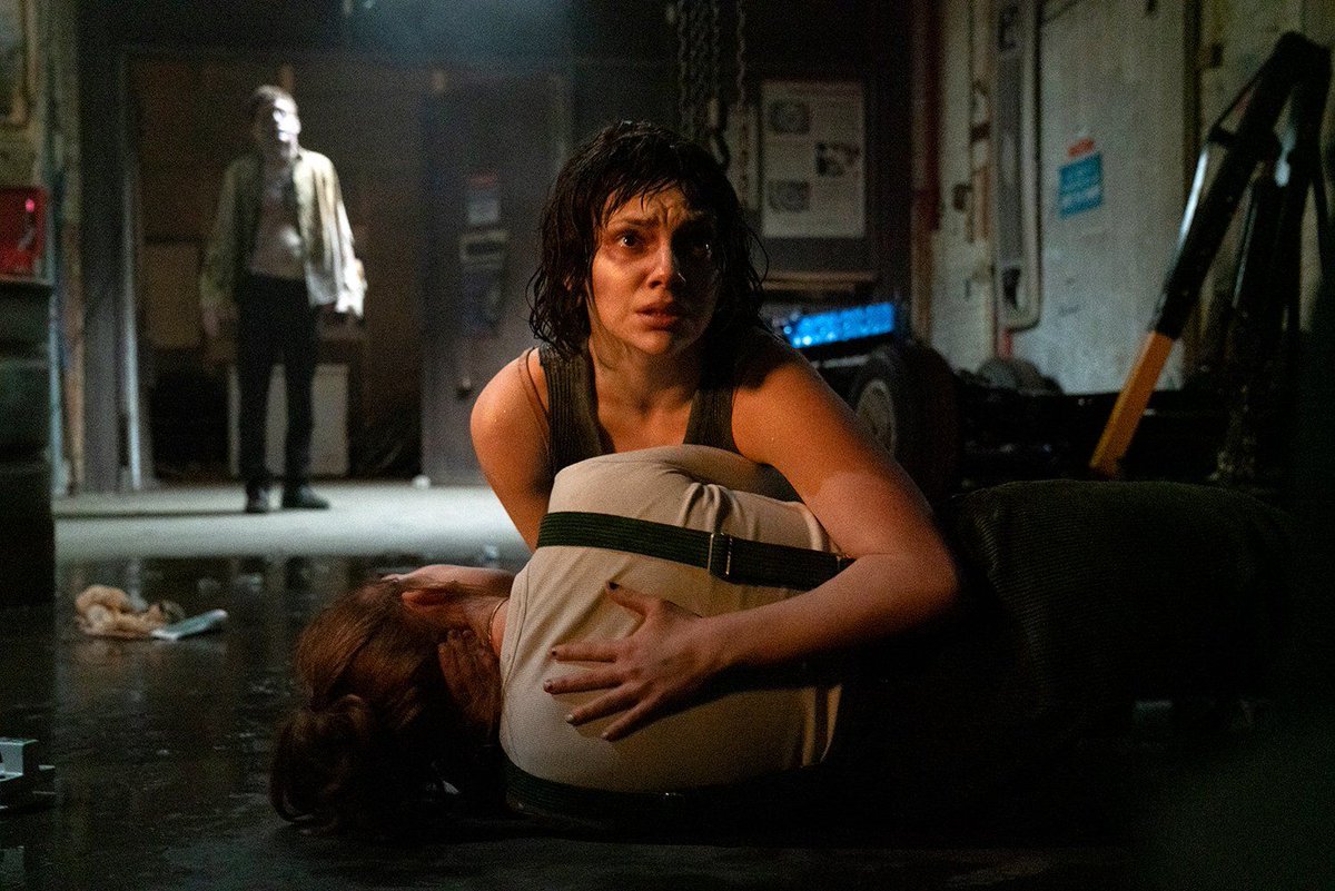 Aullidos.COM tweet media