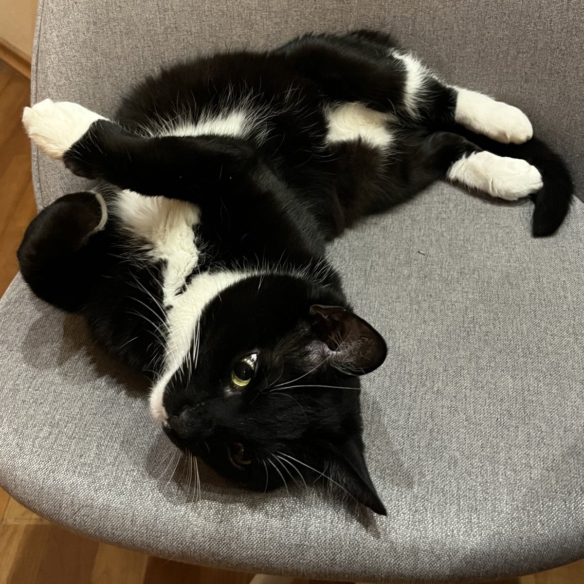 🇺🇦 Анестезія Олександрівна tweet media