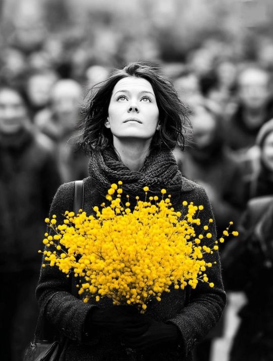 Francisco Ribeiro tweet media